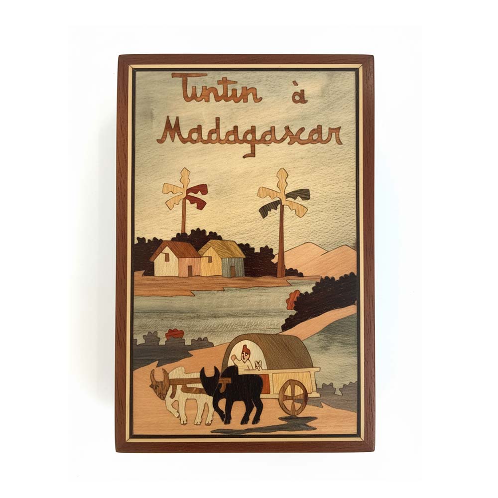 Boite de rangement en bois Tintin à Madagascar | Charette Zébus